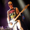 foto The Hot Stewards - 7/4 - Paard van Troje
