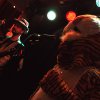 Foto Paper Tiger te Wouter Hamel - 08/10 - Metropool
