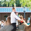 foto Zeven Pleinen Festijn: Ali B. - 11/8 - Efteling