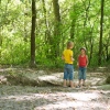 foto Deep in the Woods 2012
