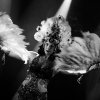 International Burlesque Circus - 1/3 - Tivoli