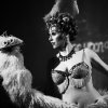 International Burlesque Circus - 1/3 - Tivoli