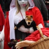 Foto Elf Fantasy Fair Haarzuilens