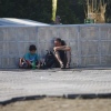 Sziget 2014
