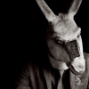 Foto Tindersticks