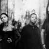 Sirenia