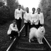 The Hives