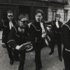 The Hives
