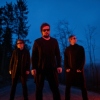 Torul