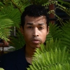 Sir the Baptist foto