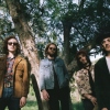 Foto Triptides