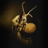 Heilung