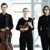 Van Baerle Trio