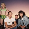 Amyl and The Sniffers