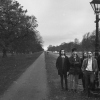 Fontaines D.C.