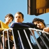 Wallows