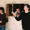 Wallows
