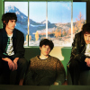 Wallows