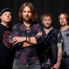 Foto The New Roses + The Dirty Denims