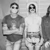 Foto Red Hot Chili Peppers