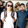 Foto Tribal Seeds