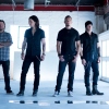 Foto Alter Bridge