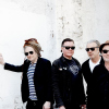 Foto Levellers - 35 Years of Levelling The Land
