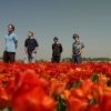 Pagefestival Festival met o.a. Headfirst - Stadskanaal