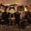 Fantastic Cat