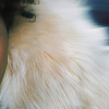 Macy Gray