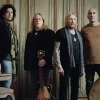 Gov't Mule