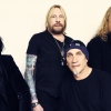 Gov't Mule