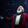 Foto A Symphonic New Year