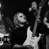 Walter Trout