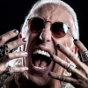 Dee Snider