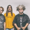 The Melvins