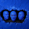 Foto Blue Man Group