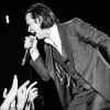 Nick Cave & the Bad Seeds