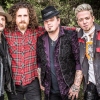 Foto Black Stone Cherry