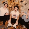 The Wombats