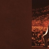 Patrick Bruel