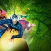 Cirque Du Soleil - Crystal