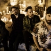 Foals