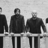 The Pineapple Thief
