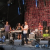 The Black Seeds