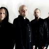 Disturbed