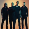 Disturbed