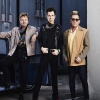Foto Stray Cats