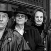 The Zombies