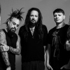 Korn in 013